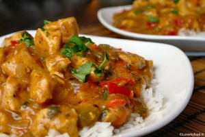 crockpot kip curry 3